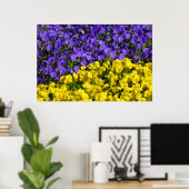 Paarse en Gele Viola's Kleurrijke Bloemen Poster (Thuiskantoor)