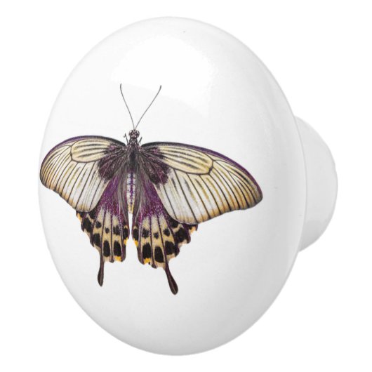 Paarse en gele vlinder met lange achtervleugels keramische knop (Rechts)