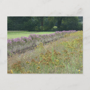 Paarse en gele Wildflowers Field DIY Briefkaart