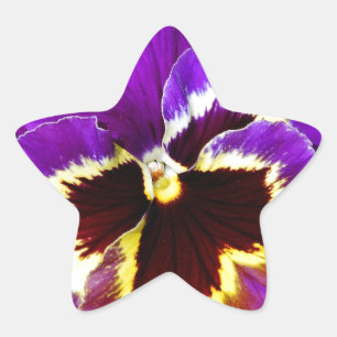 Paarse en gele zonnebloem ster sticker