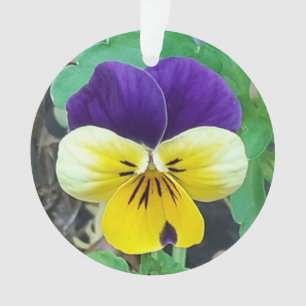 Paarse en gele zure acryldecoratie ornament