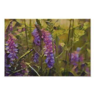 Paarse en groene Arctische lupine Foto Afdruk