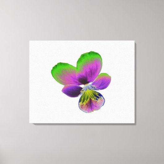 Paarse en groene doek canvas afdruk (Voorkant)