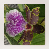 Paarse en groene gevlekte orchidee legpuzzel (Horizontaal)