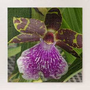 Paarse en groene gevlekte orchidee legpuzzel