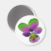 Paarse en groene Pansy Magnet (Voorkant / Achterkant)