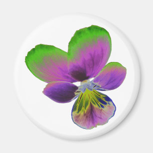 Paarse en groene Pansy Magnet