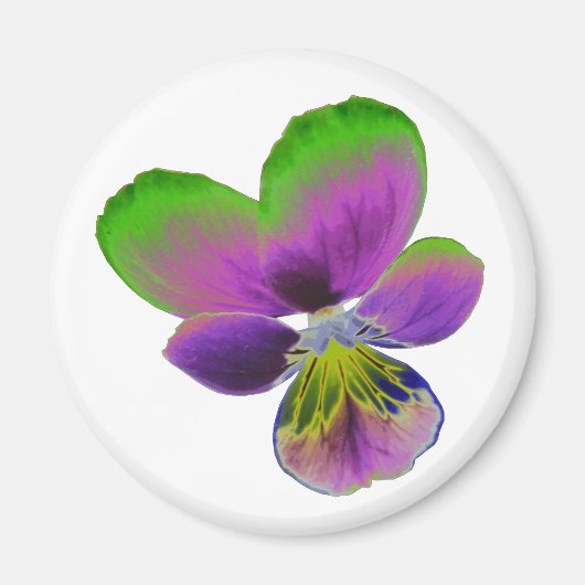 Paarse en groene Pansy Magnet (Voorkant)