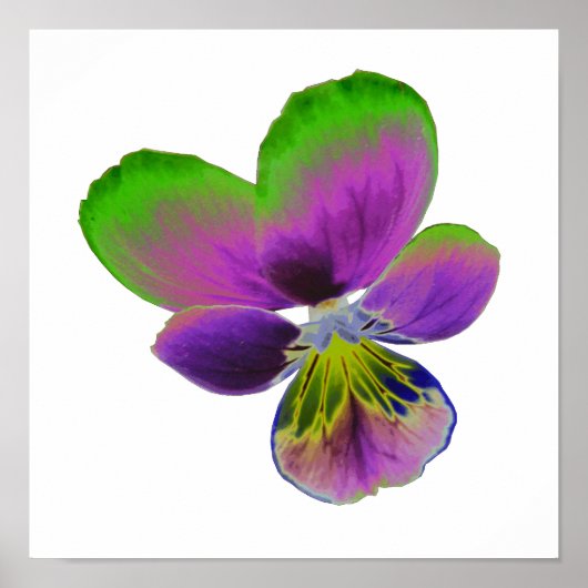 Paarse en groene printer poster (Voorkant)