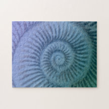 Paarse en groene spiraalvormige Ammonite Fossil Ar