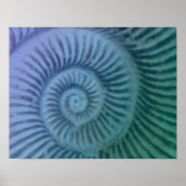 Paarse en groene spiraalvormige Ammonite Fossil Ar Poster (Voorkant)