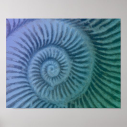 Paarse en groene spiraalvormige Ammonite Fossil Ar Poster (Voorkant)