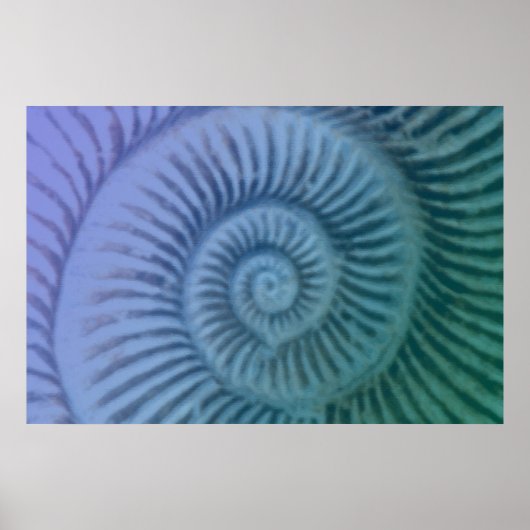 Paarse en groene spiraalvormige Ammonite Fossil Ar Poster (Voorkant)