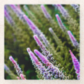 Paarse en groene wilde bloem glazen onderzetter (Voorkant)