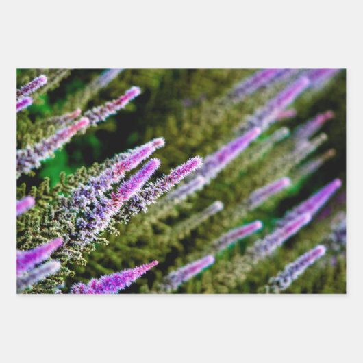 Paarse en groene wilde bloemen inpakpapier vel (Voorkant 2)