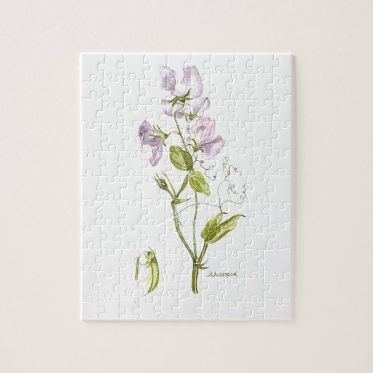 Paarse en groene zoete erwt met bloem waterverf legpuzzel (Verticaal)