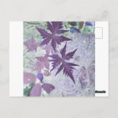 Paarse en heide pasteltint briefkaart (Achterkant)