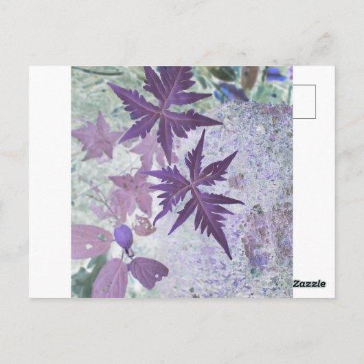 Paarse en heide pasteltint briefkaart (Achterkant)