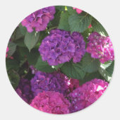 Paarse en Magenta Hydrangea Stickers (Voorkant)