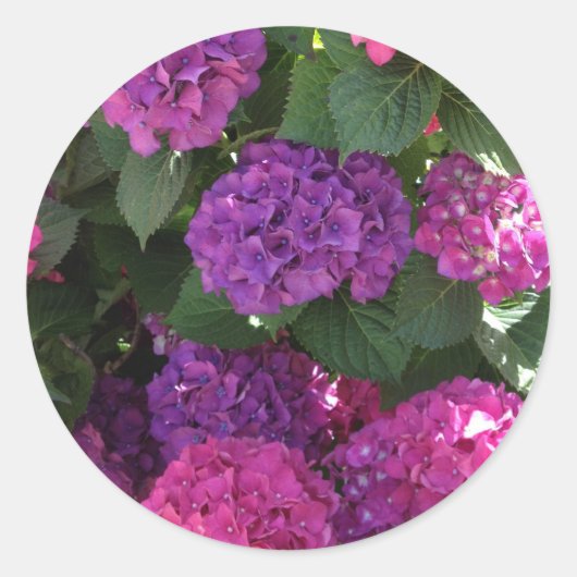 Paarse en Magenta Hydrangea Stickers (Voorkant)