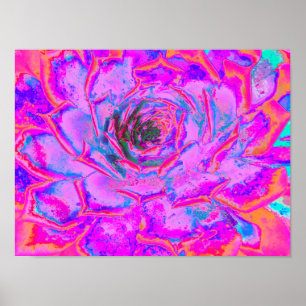 Paarse en Magenta Succulente Sedum Rozet Poster