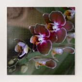 Paarse en Maroon Orchid Blossom Legpuzzel (Horizontaal)