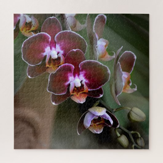 Paarse en Maroon Orchid Blossom Legpuzzel (Verticaal)
