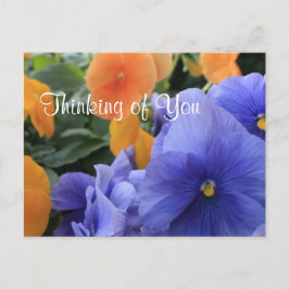 Paarse en Oranje Pansies met Green Floral Foto 481 Briefkaart