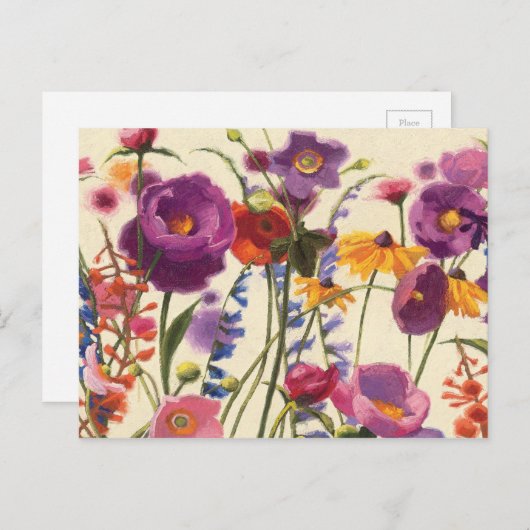 Paarse en Oranje papaver Melody Briefkaart (Voorkant / Achterkant)