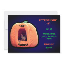 Paarse en Oranje Pompoen spooky kitten