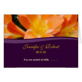 Paarse en Oranje zitplaatskaart