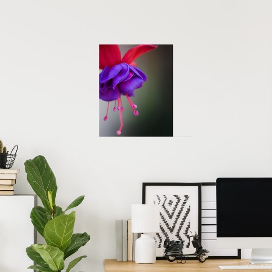 Paarse en rode Fuchsia Flower Poster (Thuiskantoor)