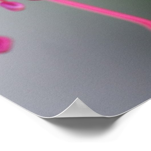 Paarse en rode Fuchsia Flower Poster (Hoek)