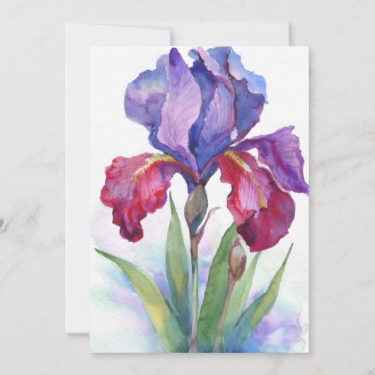 Paarse en Rode Iris Kaart (Voorkant)