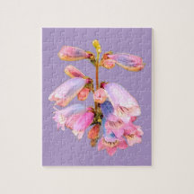Paarse en roze bloemen