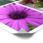 Paarse en roze bloemen poster (Hoek)