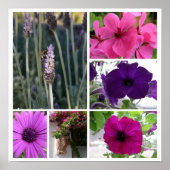 Paarse en roze bloemen poster (Voorkant)