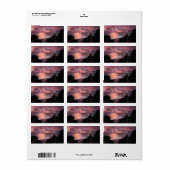Paarse en roze Florida Sunset over Pine Trees Etiket (Full Sheet)