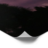 Paarse en roze Florida Sunset over Pine Trees Poster (Hoek)