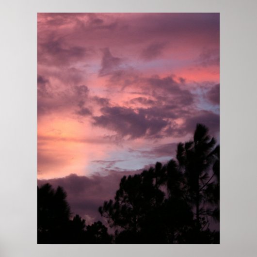 Paarse en roze Florida Sunset over Pine Trees Poster (Voorkant)