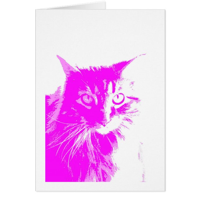 paarse en roze kattenblanco pop (Voorkant)