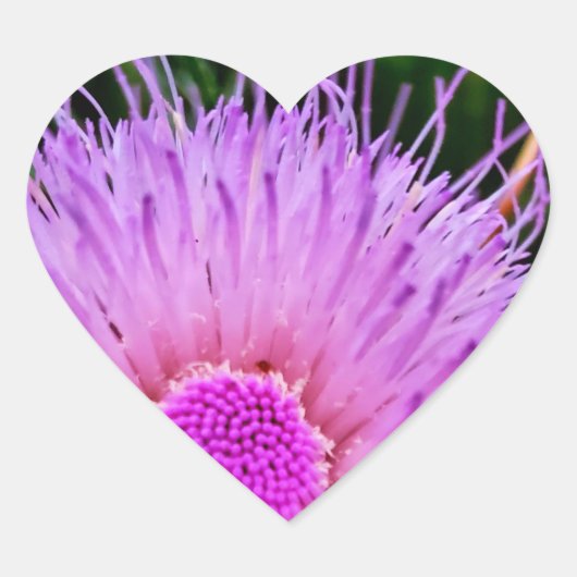 Paarse en roze ventilator hart sticker (Voorkant)