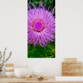 Paarse en roze ventilator poster (Keuken)