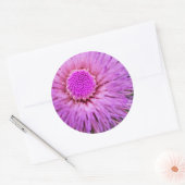 Paarse en roze ventilator ronde sticker (Envelop)