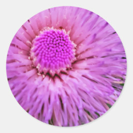 Paarse en roze ventilator ronde sticker