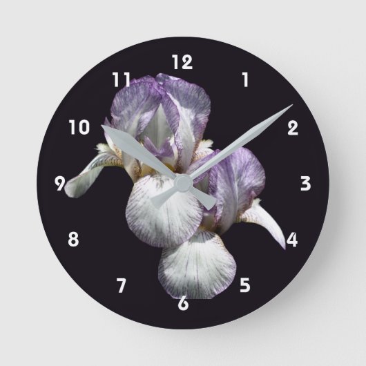 Paarse en witte baardirisbloemen  ronde klok (Voorkant)