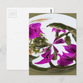 Paarse en witte bloem briefkaart (Voorkant / Achterkant)