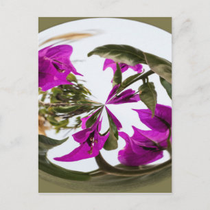 Paarse en witte bloem briefkaart
