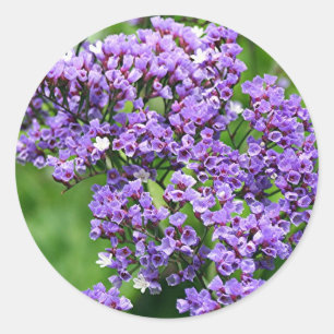 Paarse en witte bloem (limonium) ronde sticker