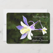 Paarse en witte bloem - Nodig Kaart (Voorkant)